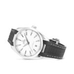 Omega Seamaster Aqua Terra 38mm Mens Watch Replica