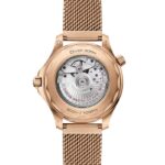 Omega Seamaster Diver 300M 42mm Men's Bronze Gold Watch Black Replica